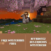 Minecraft (Xbox Series X|S/Xbox One) - Téléchargement numérique