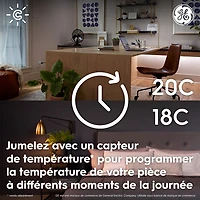 Thermostat Wi-Fi intelligent Cync de GE - Noir