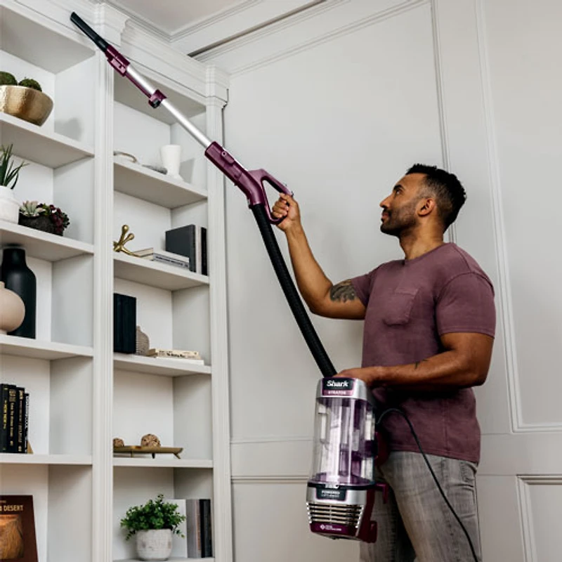 Aspirateur vertical sans sac Stratos AZ3000C de Shark - Prune rouge