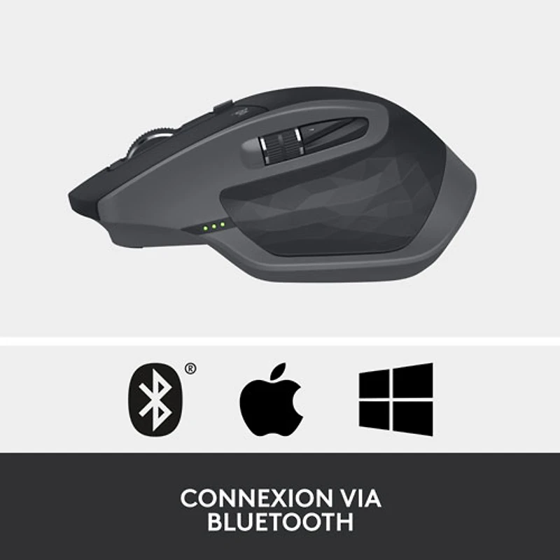 Souris laser Bluetooth MX Master 2S de Logitech - Graphite