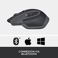 Souris laser Bluetooth MX Master 2S de Logitech - Graphite