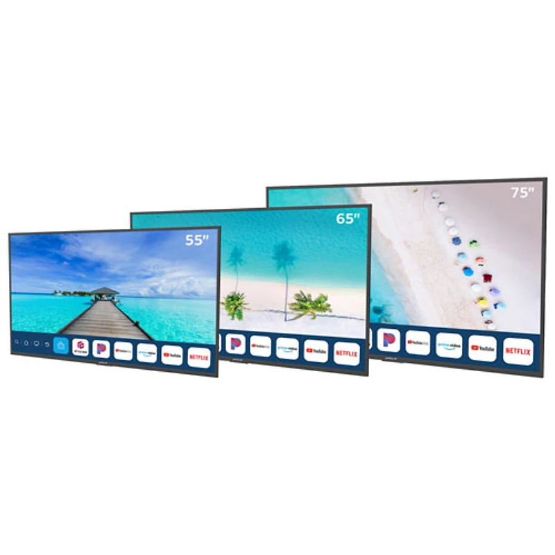 Téléviseur intelligent d'extérieur HDR DEL UHD 4K de 65 po avec webOS Partial Sun de Neptune (ODTV6503)