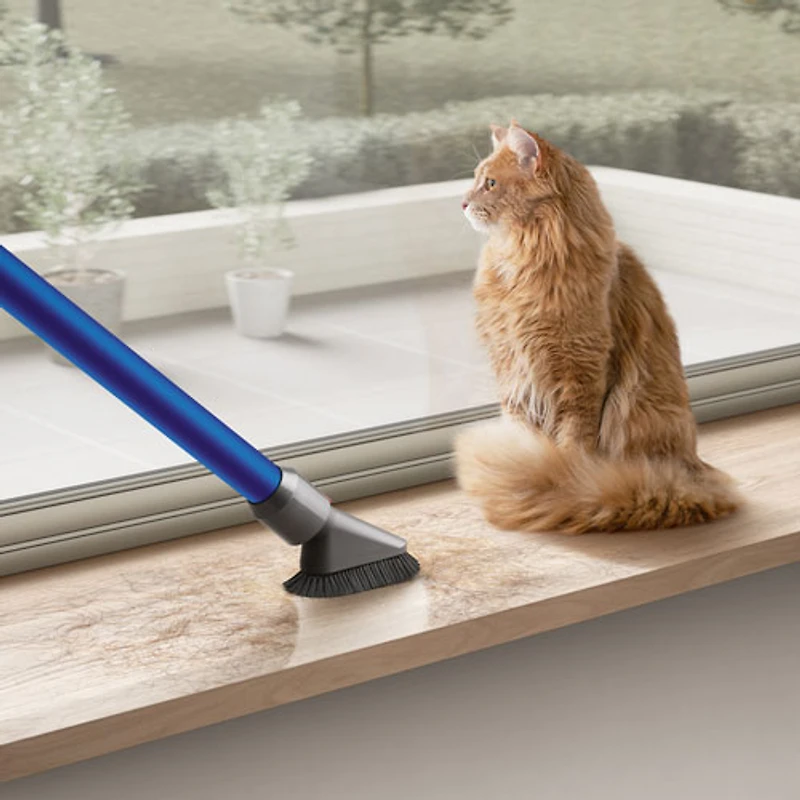 Dyson V10 Allergy Cordless Stick Vacuum - Sprayed Nickel/Blue
