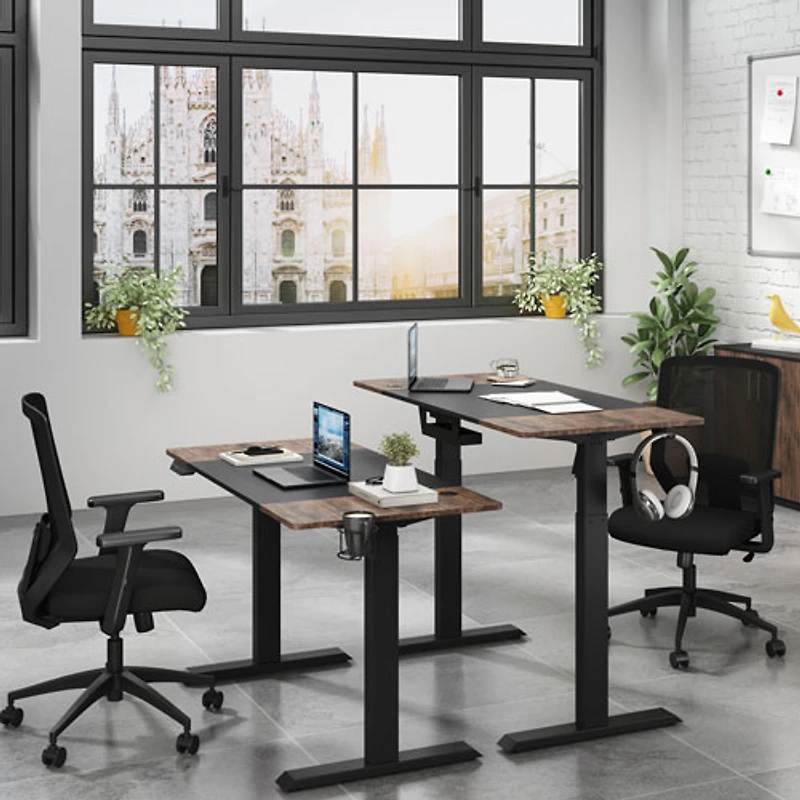LjubLjana 53" Electric Height Adjustable Sit-Stand Desk - Black/Wood