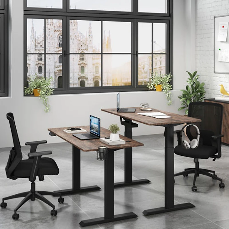 LjubLjana 53" Electric Height Adjustable Sit-Stand Desk - Wood