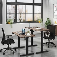 LjubLjana 53" Electric Height Adjustable Sit-Stand Desk - Wood