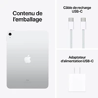 iPad de 10,9 po et de Go d'Apple avec Wi-Fi 6 (10e génération