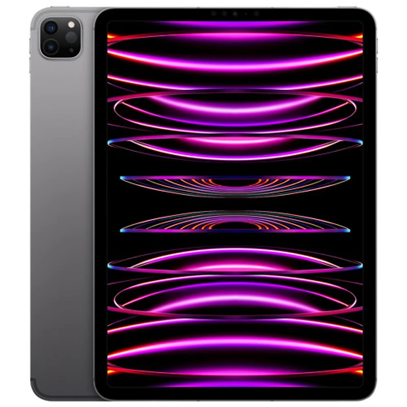iPad Pro 11 po Go d'Apple avec Wi-Fi (4e génération