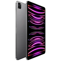 iPad Pro 11 po Go d'Apple avec Wi-Fi (4e génération