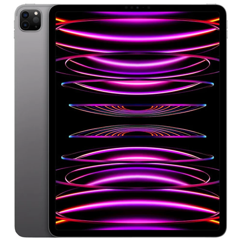 iPad Pro de 12,9 po et de 256 Go d'Apple avec Wi-Fi et 5G (6e génération) - Gris cosmique