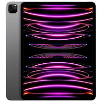 Apple iPad Pro 12.9" 2TB with Wi-Fi & 5G (6th Generation) - Space Grey