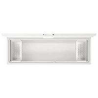 Congélateur-coffre de 24,8 pi³ de Frigidaire (FFCL2542AW)