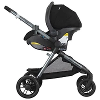 Evenflo Pivot Xpand Modular Stroller with LiteMax Infant Car Seat - Ayrshire Black