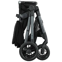 Evenflo Pivot Xpand Modular Stroller with LiteMax Infant Car Seat - Ayrshire Black