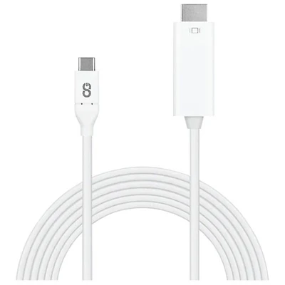 LOGiiX 3m (10 ft.) USB-C to 4K UHD HDMI Cable (LGX-12654)