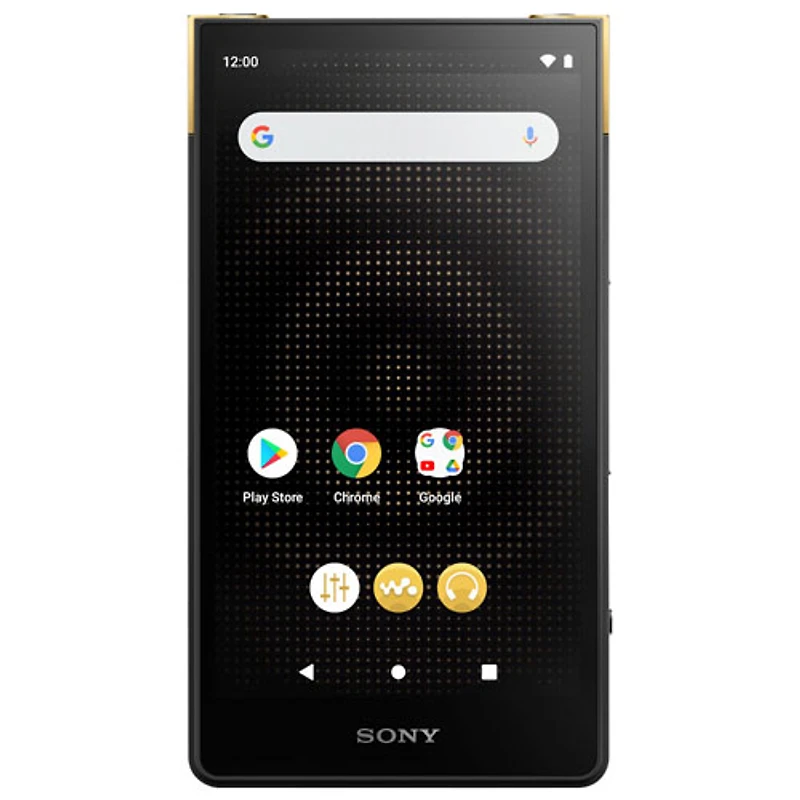 Lecteur de musique numérique de 64 Go Walkman ZX de Sony (NWZX707/S) - Noir
