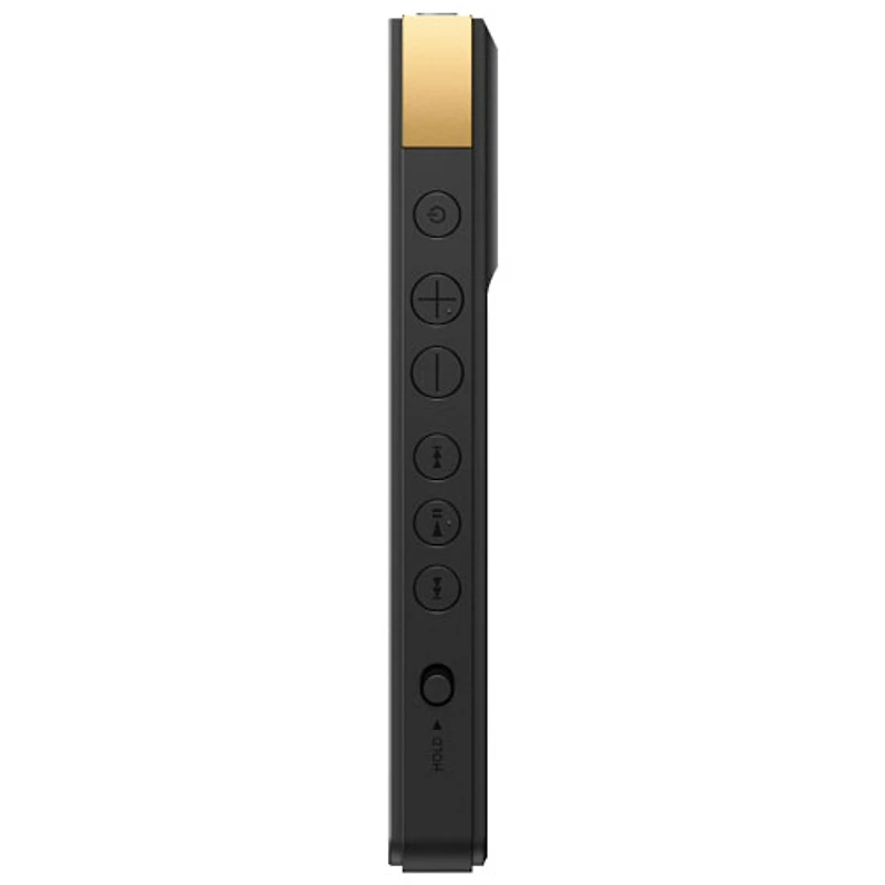 Lecteur de musique numérique de 64 Go Walkman ZX de Sony (NWZX707/S) - Noir
