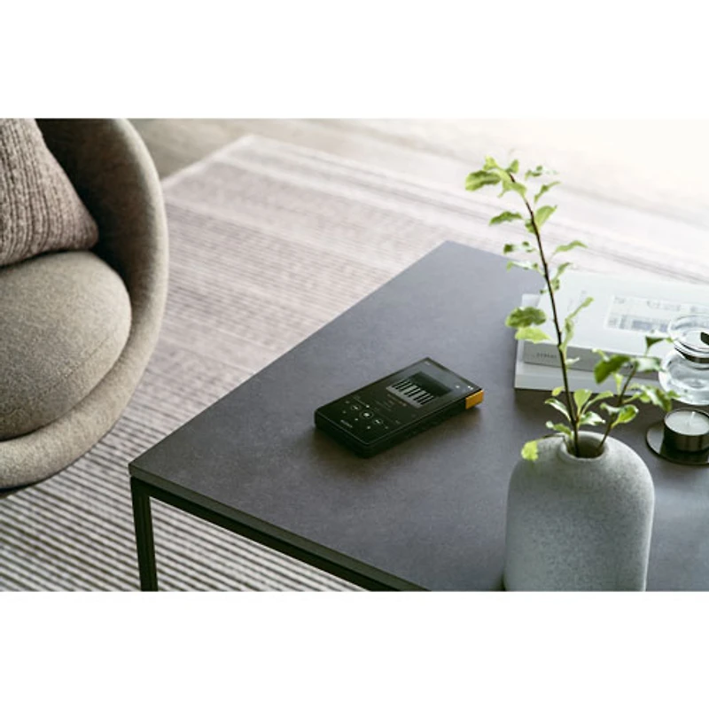 Lecteur de musique numérique de 64 Go Walkman ZX de Sony (NWZX707/S) - Noir