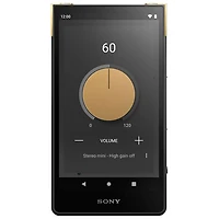 Lecteur de musique numérique de 64 Go Walkman ZX de Sony (NWZX707/S) - Noir