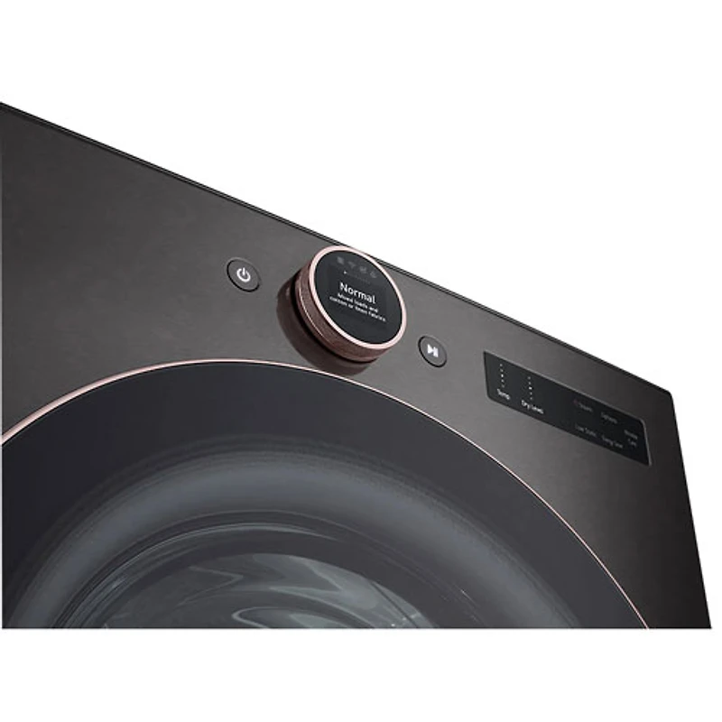 Sécheuse électrique à vapeur de 7,4 pi³ de LG (DLEX6500B) - Acier noir