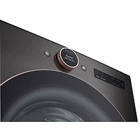 Sécheuse électrique à vapeur de 7,4 pi³ de LG (DLEX6500B) - Acier noir