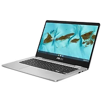 Chromebook de 14 po C424 d'ASUS - Argenté (Celeron N4020 d'Intel/eMMC 64 Go/RAM 4 Go/ChromeOS)