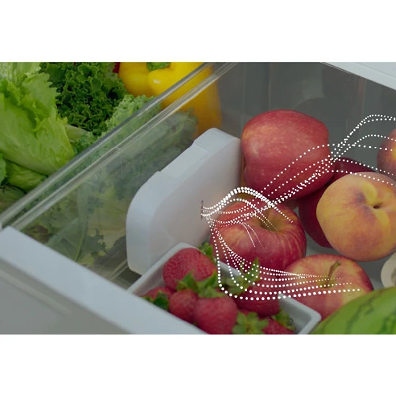 Réfrigérateur à deux portes 20,8 pi³ 36 po à distributeur d'eau et de glaçons de Bosch (B36CT81ENS) - Acier inoxydable