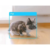 Caméra de surveillance Wi-Fi semi sans fil panoramique et inclinable Tapo C225 2K QHD d'intérieur de TP-Link - Blanc