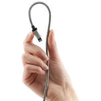 Câble USB-A/ USB-C de 0,3 m (1 pi) de LBT (LBTBW0101) - Noir/Blanc