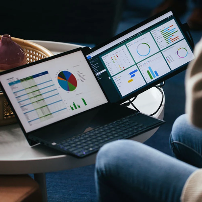 Moniteur portatif ACL IPS HD 1080p 10 ms 60 Hz 13,3 po Plus de DUEX (MP-101-1006P01) - Noir