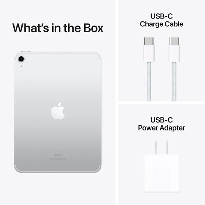 iPad 10,9 po 256 Go Wi-Fi 6 et 5G d'Apple avec Fido (10e gén.) - Argenté - Financement mensuel