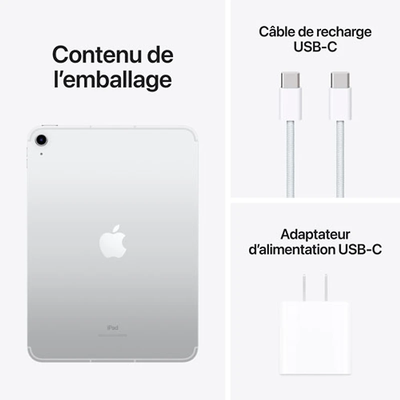 iPad 10,9 po 256 Go Wi-Fi 6 et 5G d'Apple avec Fido (10e gén.) - Argenté - Financement mensuel