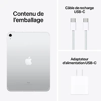 iPad 10,9 po 256 Go Wi-Fi 6 et 5G d'Apple avec Fido (10e gén.) - Argenté - Financement mensuel