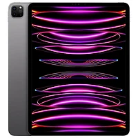 iPad Pro 12,9 po de 2 To Wi-Fi et 5G d'Apple avec Bell (6e génération) - Gris cosmique - Financement mensuel