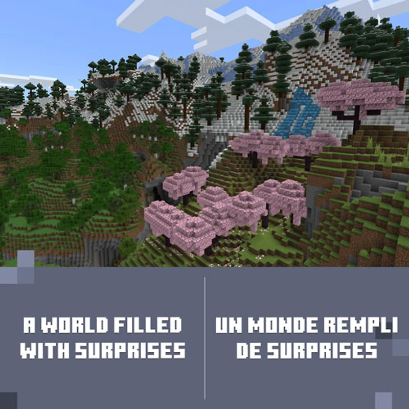 Minecraft: Édition de luxe (Xbox Series X|S/Xbox One) - Téléchargement numérique