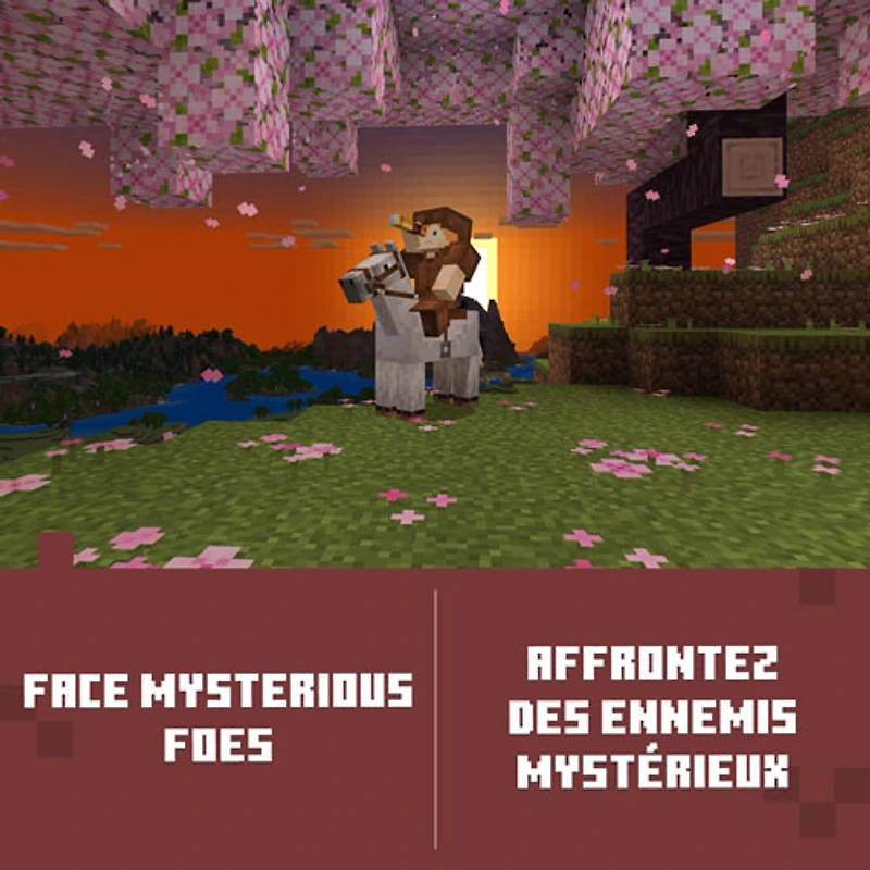 Minecraft: Édition de luxe (Xbox Series X|S/Xbox One) - Téléchargement numérique
