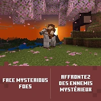 Minecraft: Édition de luxe (Xbox Series X|S/Xbox One) - Téléchargement numérique