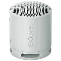Sony SRS-XB100 Waterproof Bluetooth Wireless Speaker