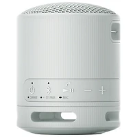 Sony SRS-XB100 Waterproof Bluetooth Wireless Speaker