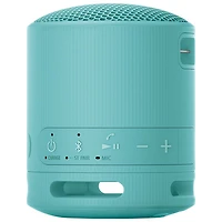 Haut-parleur sans fil Bluetooth étanche SRS-XB100 de Sony
