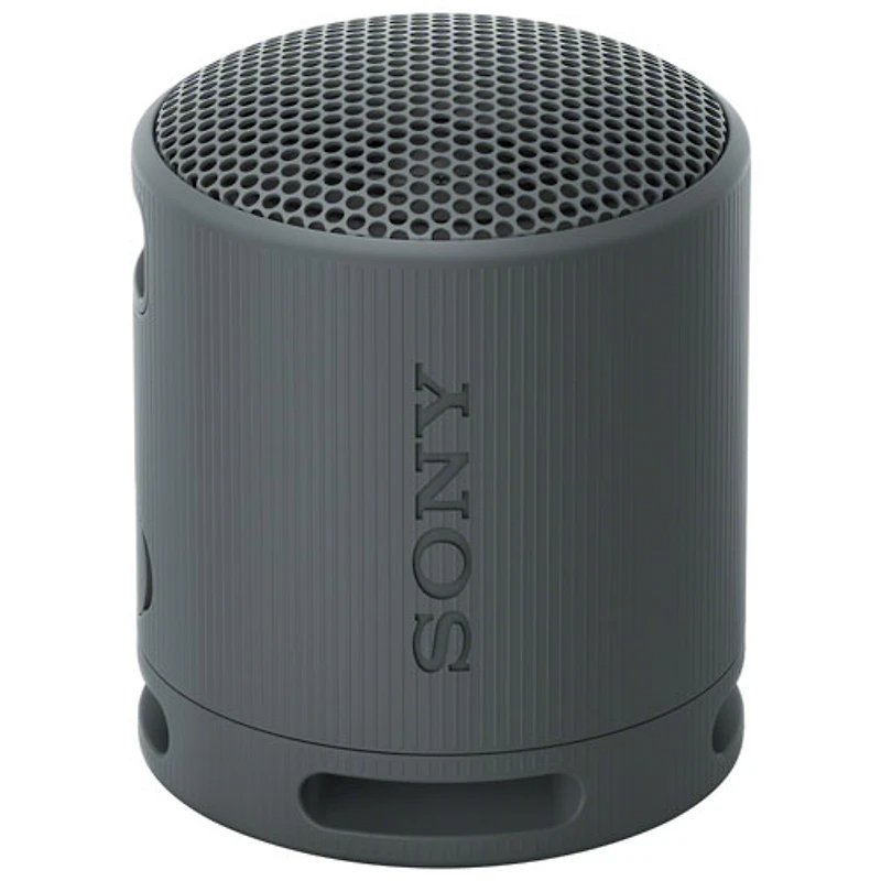 Sony SRS-XB100 Waterproof Bluetooth Wireless Speaker - Black