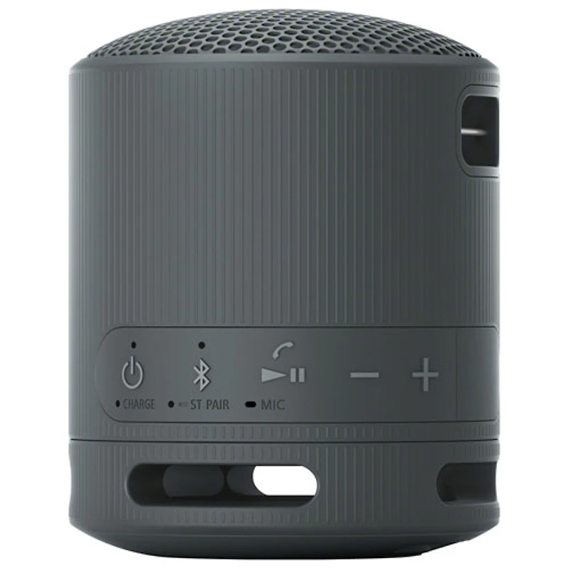 Sony SRS-XB100 Waterproof Bluetooth Wireless Speaker - Black