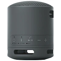 Sony SRS-XB100 Waterproof Bluetooth Wireless Speaker - Black