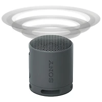 Sony SRS-XB100 Waterproof Bluetooth Wireless Speaker - Black