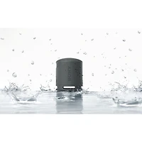 Sony SRS-XB100 Waterproof Bluetooth Wireless Speaker - Black