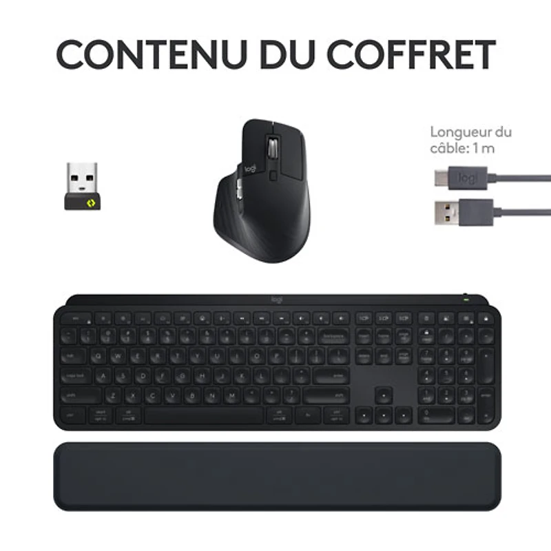 Combo Bluetooth MX Keys S - Clavier MX Keys S, souris MX Master 3S, repose-paume MX