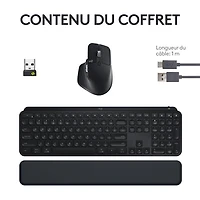 Combo Bluetooth MX Keys S - Clavier MX Keys S, souris MX Master 3S, repose-paume MX
