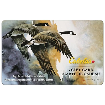 Carte-cadeau Cabela's - 100 $ - Téléchargement numérique