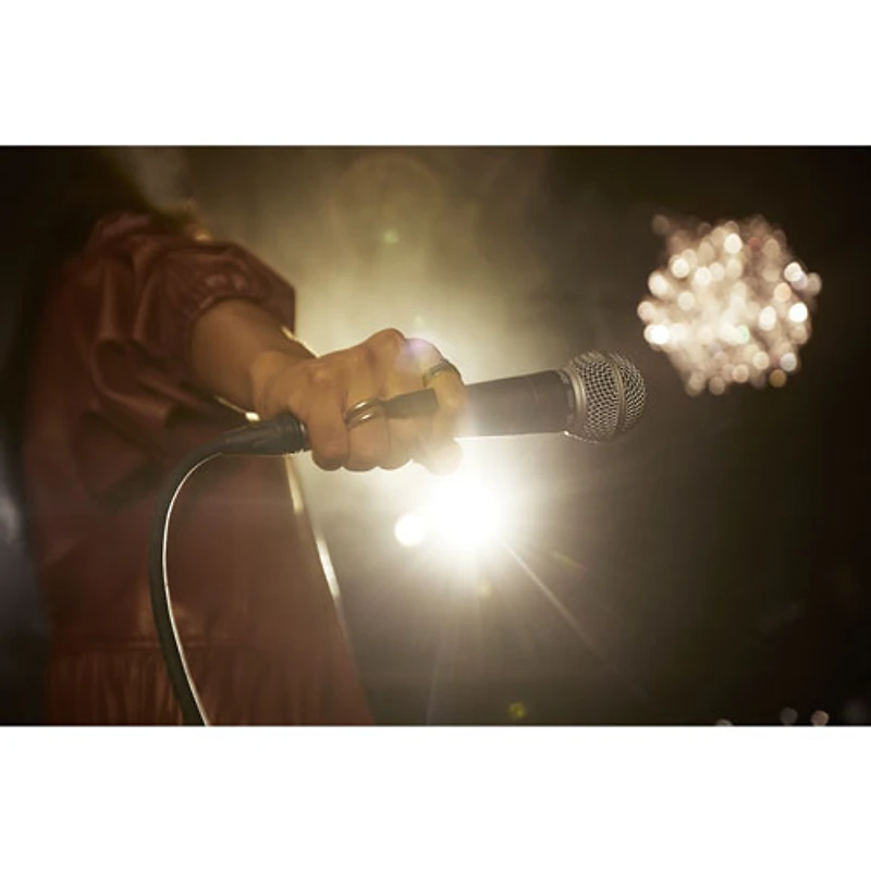 Microphone XLR dynamique vocal SM58-LC de Shure - Noir