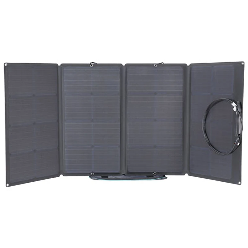 Panneau solaire portatif EcoFlow - 160 watts